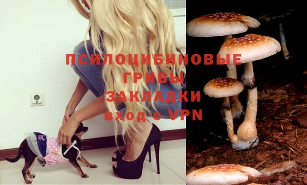 a pvp Киреевск